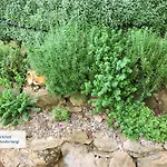 Tolles In Ermioni Mit Garten- Terrasse Und Gemeinschaftlichem Pool By Interhome * Thermisía